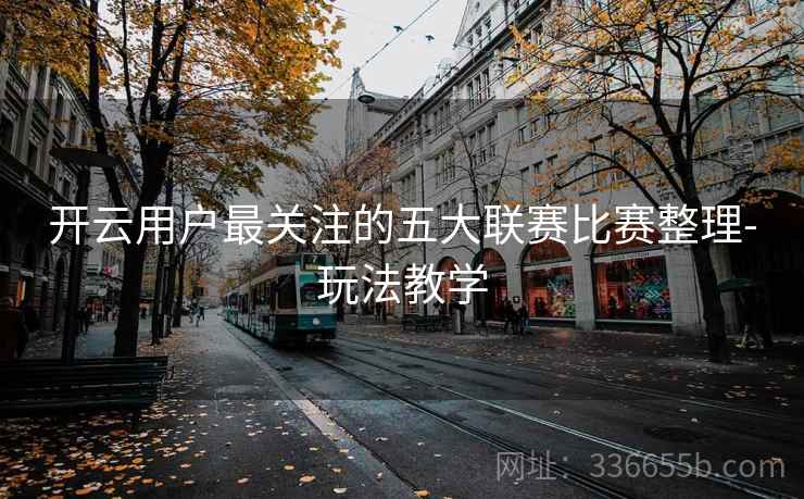 开云用户最关注的五大联赛比赛整理-玩法教学