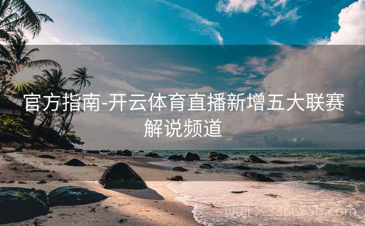 官方指南-开云体育直播新增五大联赛解说频道