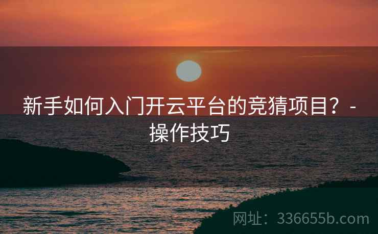 新手如何入门开云平台的竞猜项目？-操作技巧